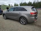 2016 Kia Sorento Sx zu verkaufen in Graham, WA - Front End