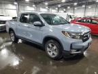 2024 Honda Ridgeline Rtl for Sale in Ham Lake, MN - Side