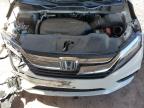 2019 Honda Odyssey Exl zu verkaufen in Phoenix, AZ - Front End