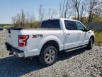 2019 Ford F150 Supercrew للبيع في Elmsdale، NS - Rear End