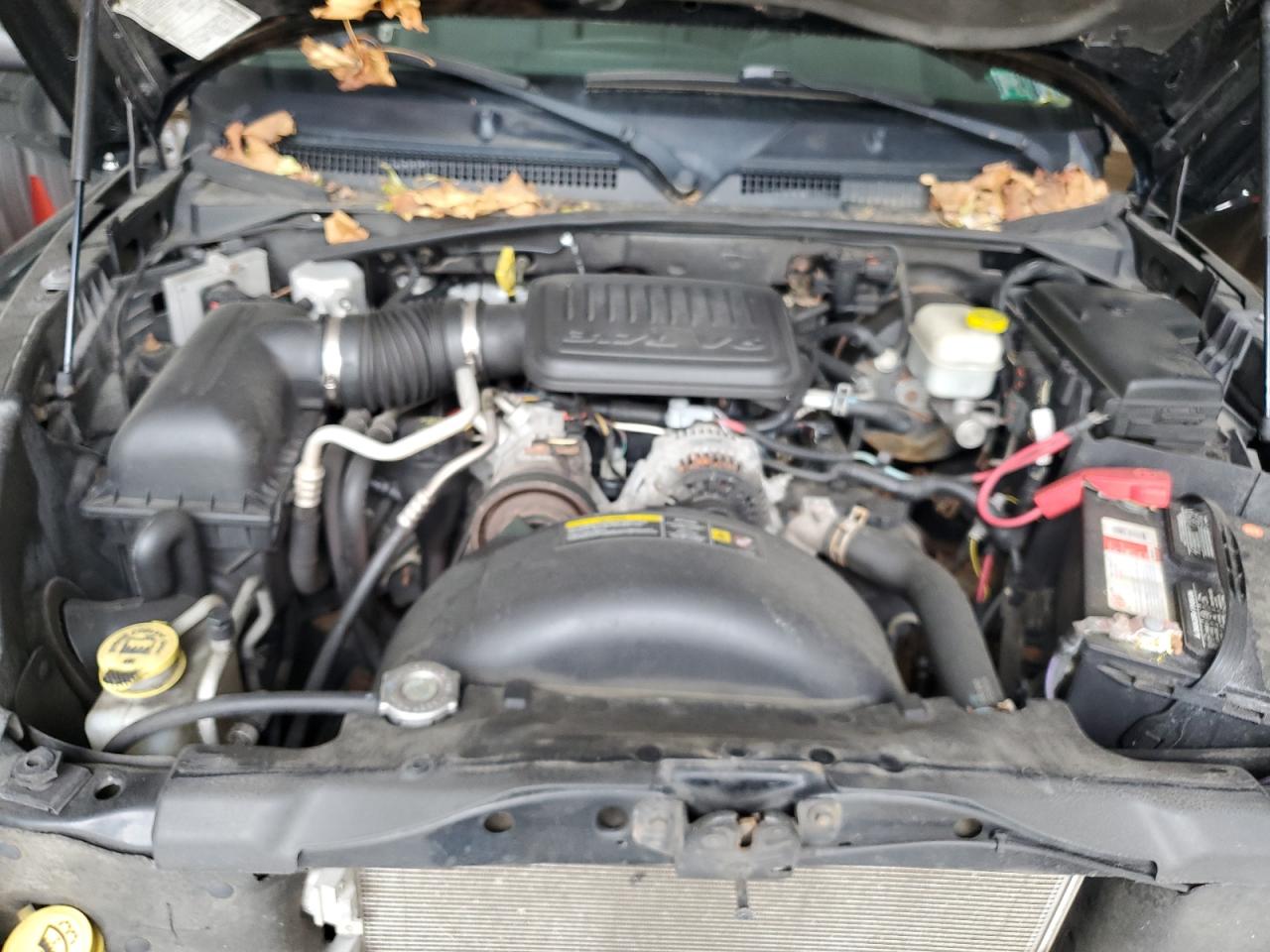 2006 Dodge Dakota Quad Slt VIN: 1D7HW48K06S508602 Lot: 57176135