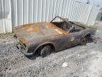 1976 Triumph Tr6 for Sale in Albany, NY - Burn