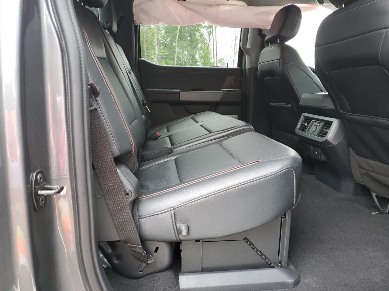 2023 Ford F250 Super Duty VIN: 1FT8W2BM1PED20700 Lot: 56553865