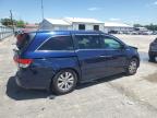 2014 Honda Odyssey Exl იყიდება Lexington-ში, KY - All Over