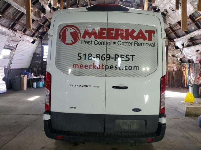  FORD TRANSIT 2023 Белый