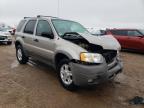 2001 Ford Escape Xlt for Sale in Elgin, IL - Front End
