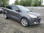 2016 Ford Escape Se for Sale in Arlington, WA - Front End