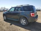 2009 FORD ESCAPE XLT for sale at Copart AB - CALGARY