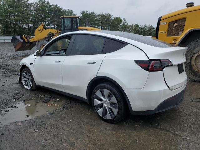  TESLA MODEL Y 2023 Biały