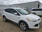 2014 Ford Escape Se for Sale in Cedar Rapids, IA - Hail