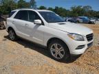 2015 Mercedes-Benz Ml 350 იყიდება Eight Mile-ში, AL - Rear End