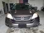 2010 Honda Cr-V Ex en Venta en Northfield, OH - Rear End