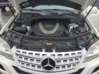 2010 Mercedes-Benz Ml 350 4Matic للبيع في Exeter، RI - Rear End
