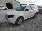 Lawrenceburg, KY에서 판매 중인 2010 Mercury Mariner  - Front End