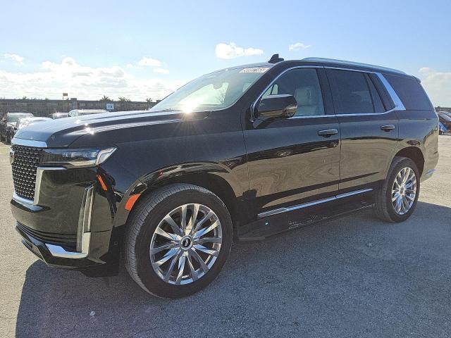  CADILLAC ESCALADE 2023 Black