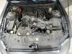 2014 Ford Mustang  იყიდება Tulsa-ში, OK - All Over