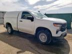 2023 Chevrolet Silverado C1500 na sprzedaż w Amarillo, TX - Minor Dent/Scratches
