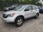 2011 Honda Cr-V Lx en Venta en Cicero, IN - Rear End