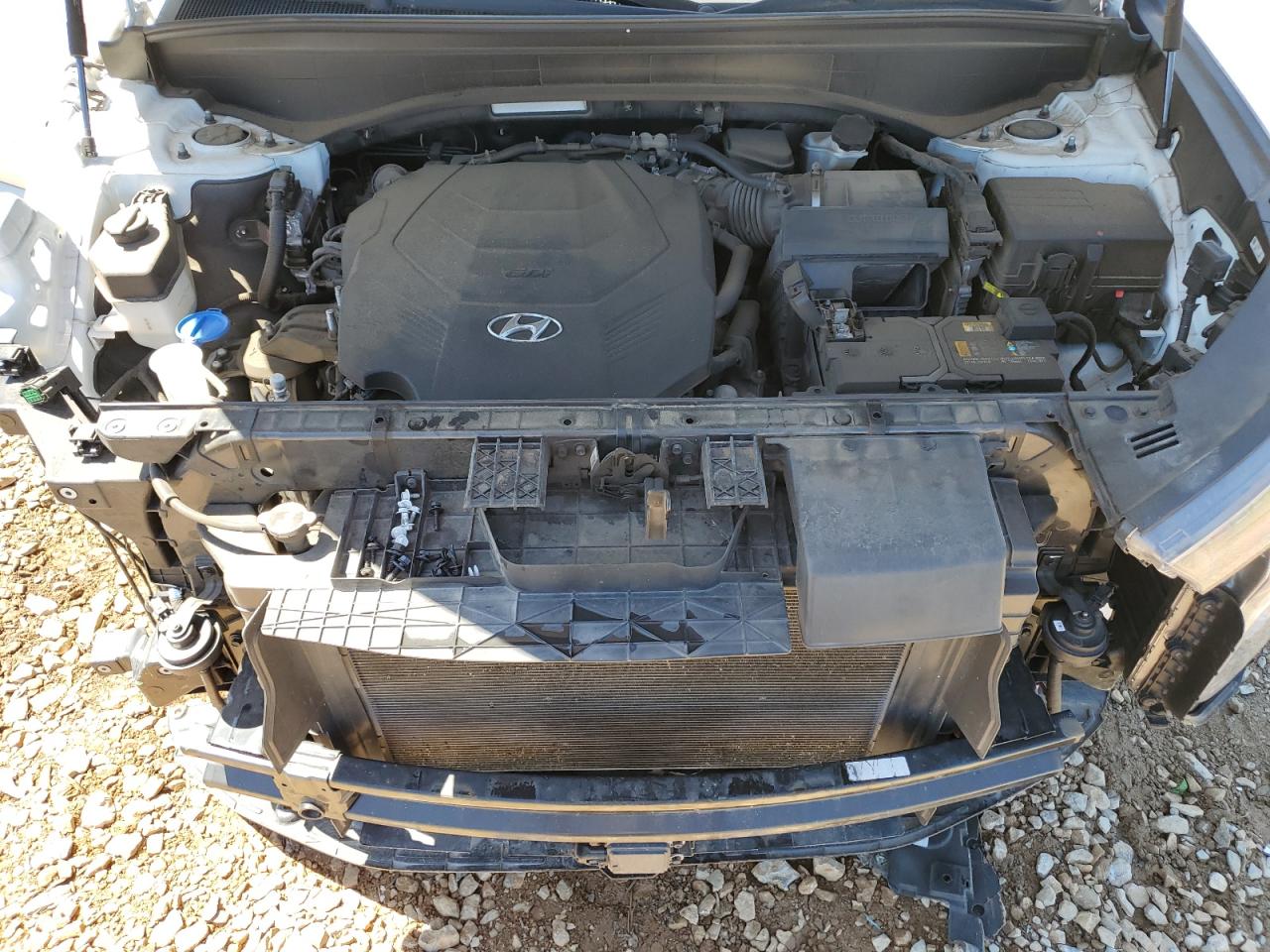 2020 Hyundai Palisade Sel VIN: KM8R34HE4LU110211 Lot: 58011805