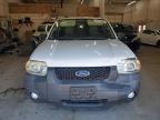 2007 Ford Escape Hev на продаже в Ham Lake, MN - Front End