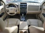 2008 Ford Escape Limited for Sale in Nisku, AB - Hail