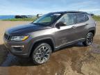 Rocky View County, AB에서 판매 중인 2021 Jeep Compass Trailhawk - Side