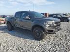 2019 Ford F150 Raptor на продаже в Arcadia, FL - Side