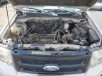 2012 Ford Escape Xlt for Sale in Denver, CO - Hail