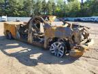 2024 Chevrolet Silverado K1500 Lt Trail Boss na sprzedaż w Ham Lake, MN - Burn