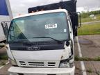 2006 Isuzu Npr  for Sale in Woodhaven, MI - Front End