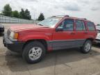 1994 Jeep Grand Cherokee Laredo за продажба в Moraine, OH - Rear End