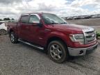 2014 Ford F150 Supercrew   იყიდება Earlington-ში, KY - Hail