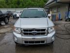2012 Ford Escape Limited للبيع في Ellwood City، PA - Top/Roof