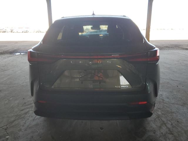  LEXUS NX 250 2023 Зеленый