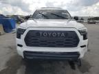 Orlando, FL에서 판매 중인 2025 Toyota Sequoia Sr5   - Front End
