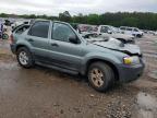 2005 Ford Escape Xlt en Venta en Florence, MS - All Over