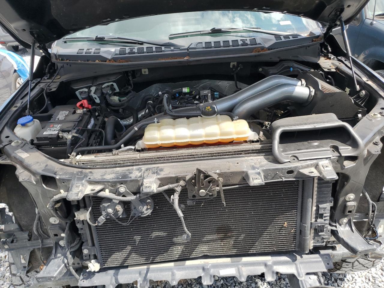 2019 Ford F150 Supercrew VIN: 1FTEW1EP0KFA99354 Lot: 56317175