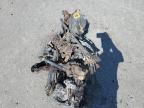 2023 Honda Grom A за продажба в Dunn, NC - Burn