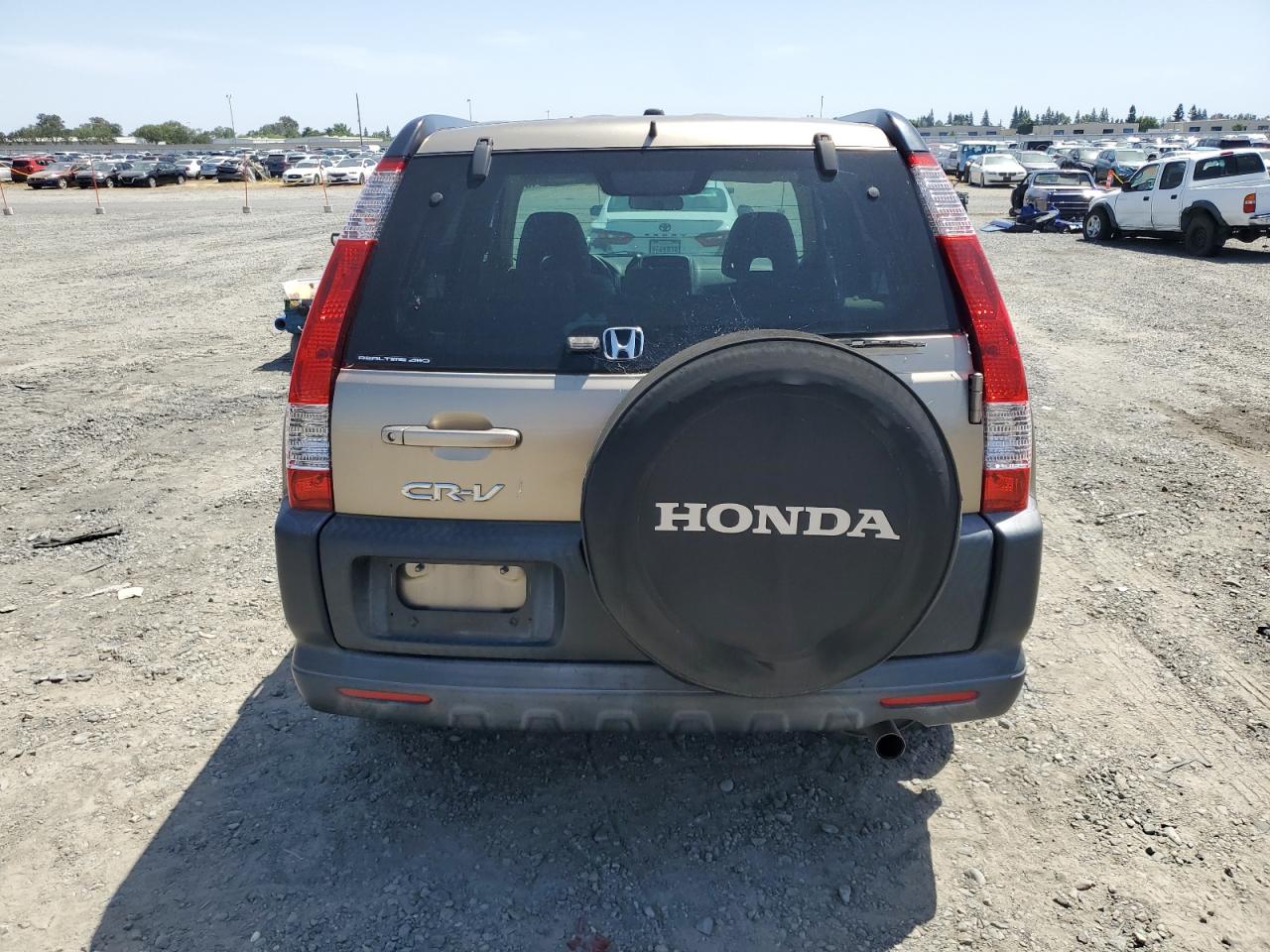 2005 Honda Cr-V Ex VIN: JHLRD78825C047456 Lot: 56777545