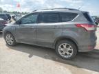 2014 Ford Escape Se   for Sale in Bridgeton, MO - Front End