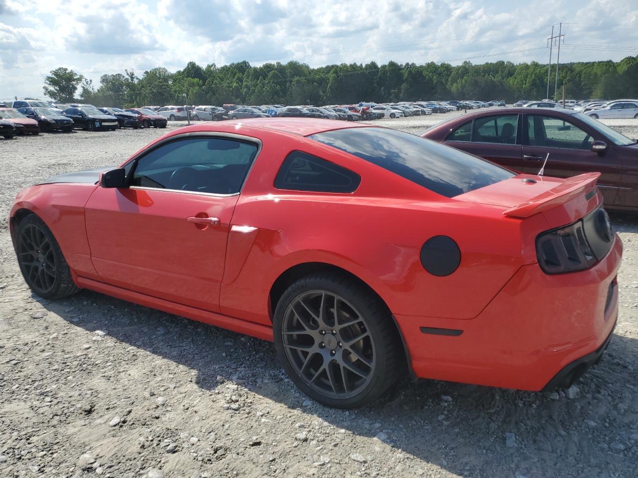 2013 Ford Mustang VIN: 1ZVBP8AM0D5268671 Lot: 56970245