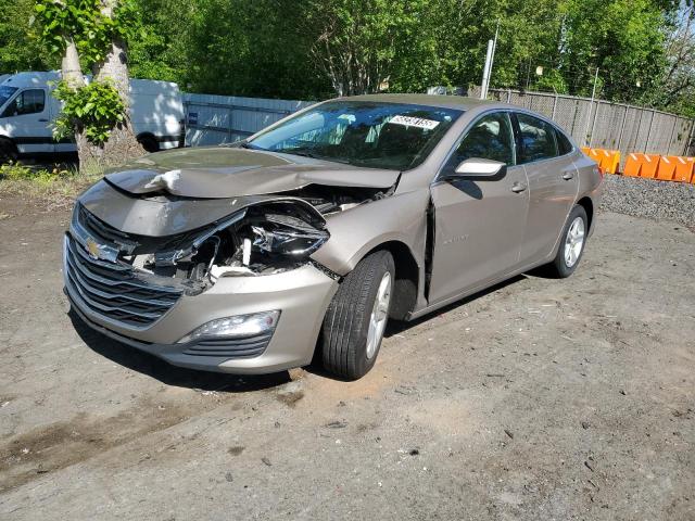  CHEVROLET MALIBU 2023 Beige