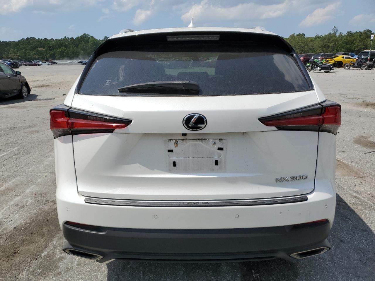 2019 Lexus Nx 300 Base VIN: JTJYARBZ3K2116734 Lot: 56669915