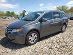 2015 Honda Odyssey Exl zu verkaufen in Chicago Heights, IL - Rear End