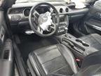 2019 Ford Mustang  for Sale in Chicago Heights, IL - All Over