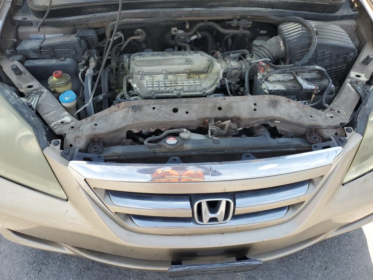 2006 Honda Odyssey Ex VIN: 5FNRL38446B439803 Lot: 58628095