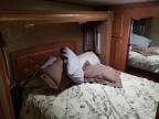 2013 Foresriver Silverback for Sale in West Warren, MA - Water/Flood