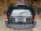 2005 Ford Escape Xlt იყიდება Rapid City-ში, SD - Normal Wear