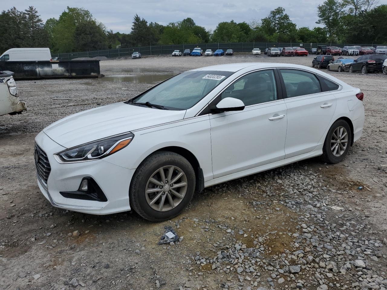 2019 Hyundai Sonata Se de vânzare în Madisonville, TN - Rear End