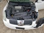 2004 Nissan Maxima Se de vânzare în Rogersville, MO - Front End